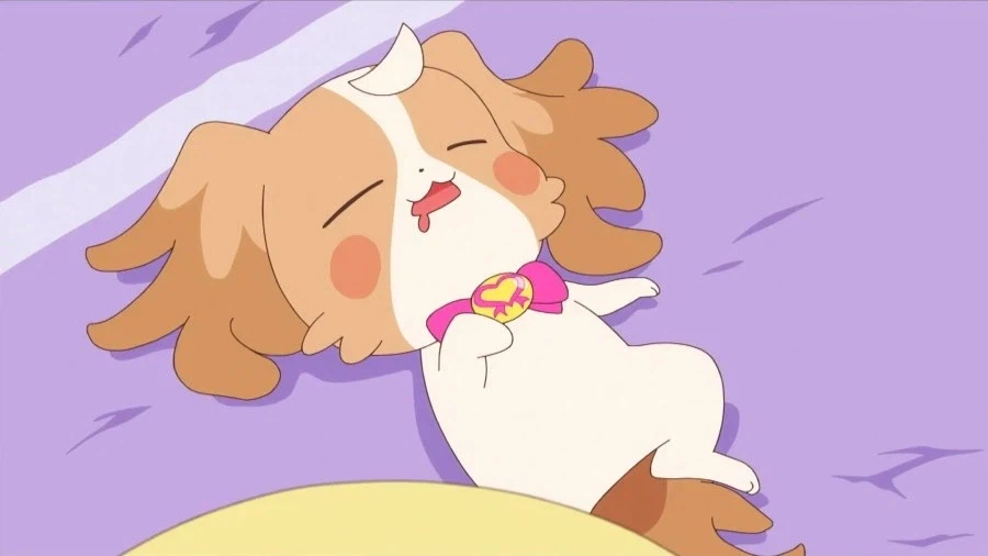 22년 동안 별의별 유형이 다 나온 프리큐어.jpg_14.webp