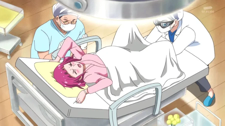 22년 동안 별의별 유형이 다 나온 프리큐어.jpg_26.webp