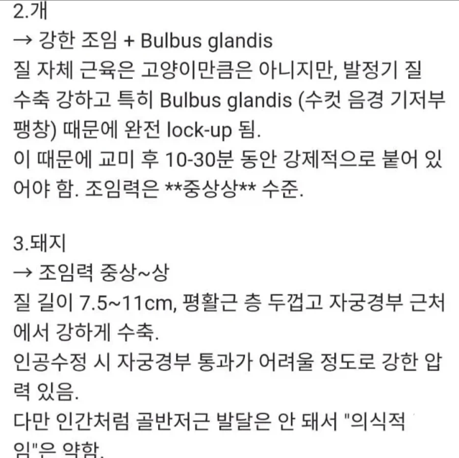 동물별 조임 순위.jpg_2.webp