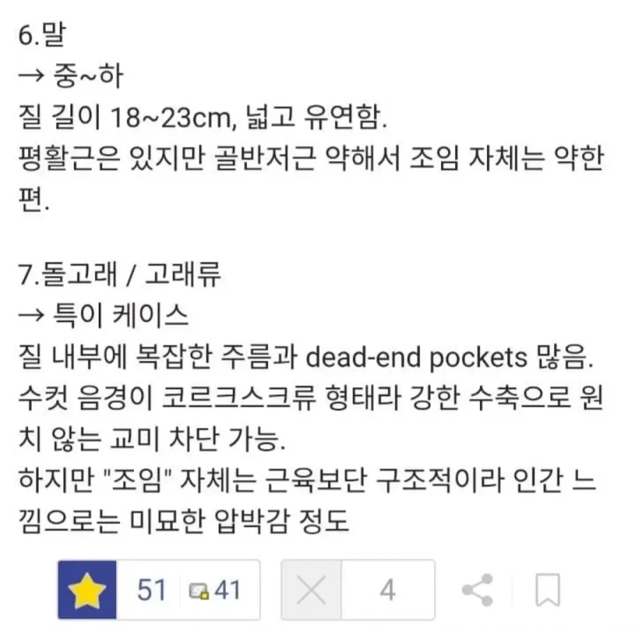 동물별 조임 순위.jpg_4.webp