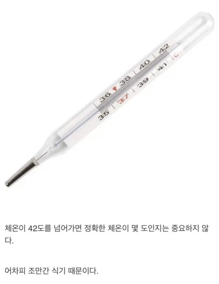 수은 체온계가 42도까지밖에 없는 이유_4.webp