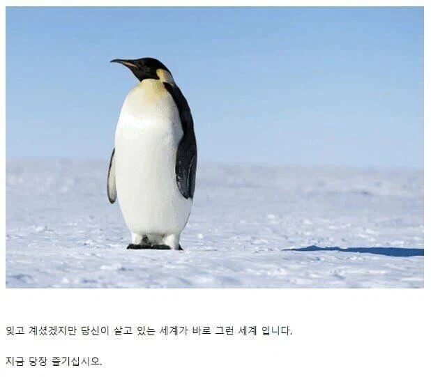 원할 때 맘대로 성관계가 가능한 세계_1.webp