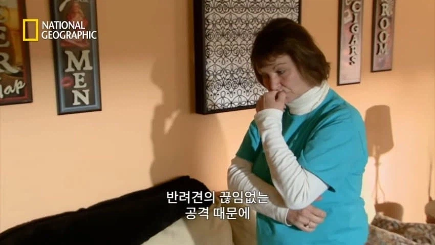 개 행동이 이상하게 공격적이면 병원에 가봐야함_2.webp