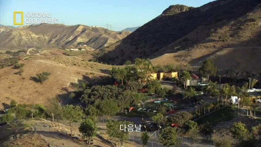 개 행동이 이상하게 공격적이면 병원에 가봐야함_4.webp