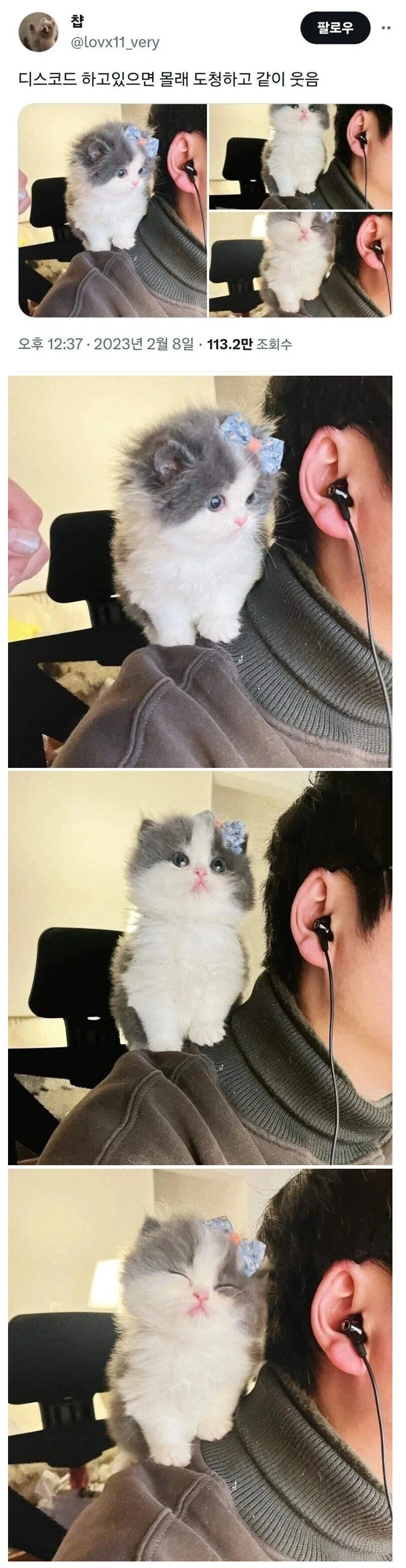 디스코드 도청범.jpg_1.webp