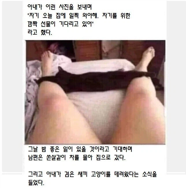 와이프가 집에 빨리 돌아오라며 보낸 사진_1.webp