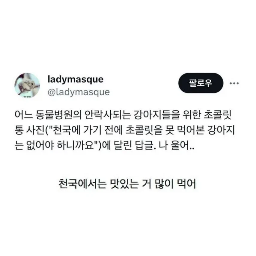 수의사가 강아지에게 초콜릿을 주는 이유_2.webp