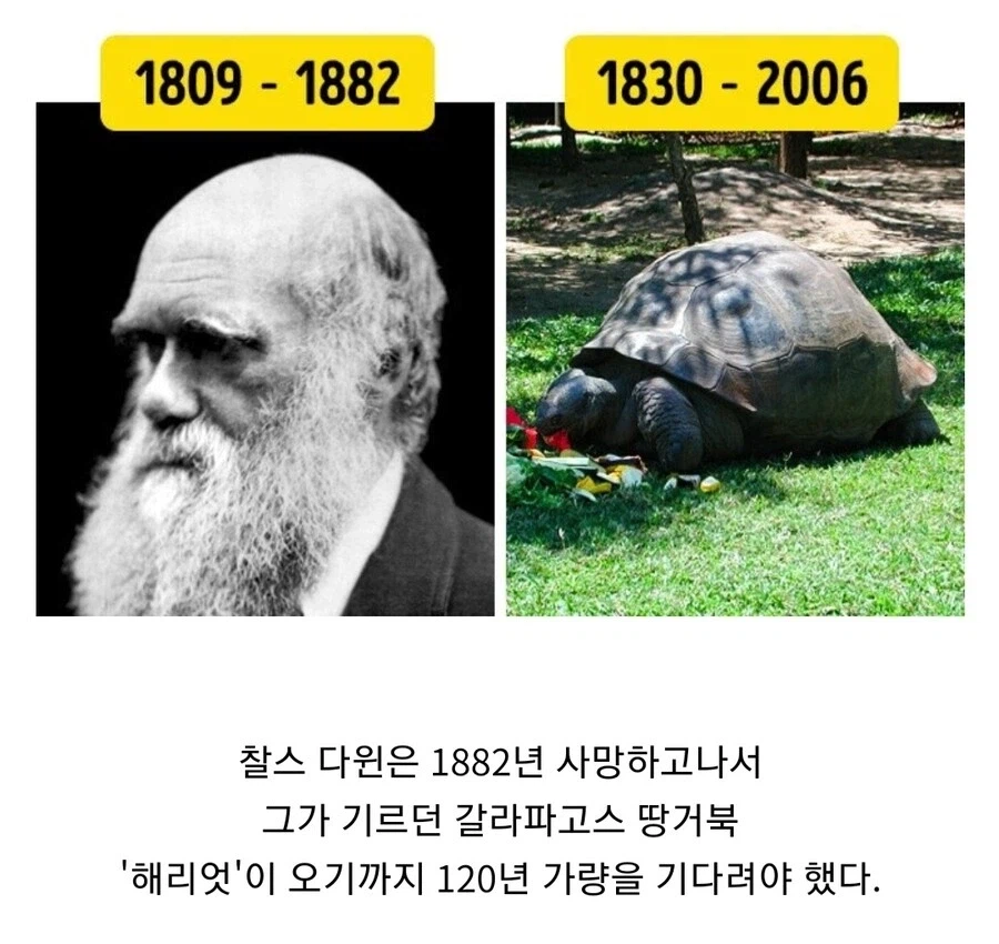천국에서 좀 오래 기다려야했던 주인과 애완동물.jpg_1.webp