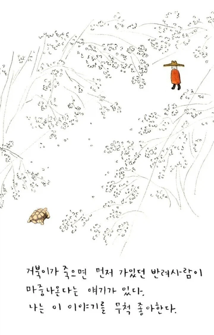 천국에서 좀 오래 기다려야했던 주인과 애완동물.jpg_2.webp