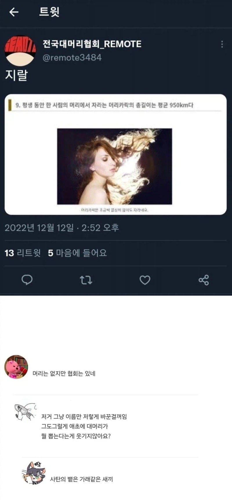 평생동안 사람의 머리카락은 평균 950km까지 자란다._1.webp