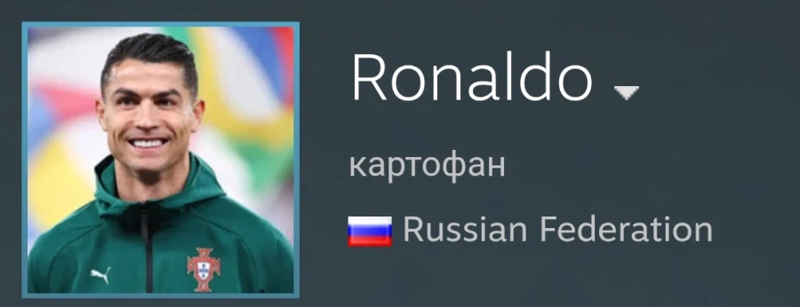 호날두가 스팀 친구 신청했다 ㄷㄷ_2.webp