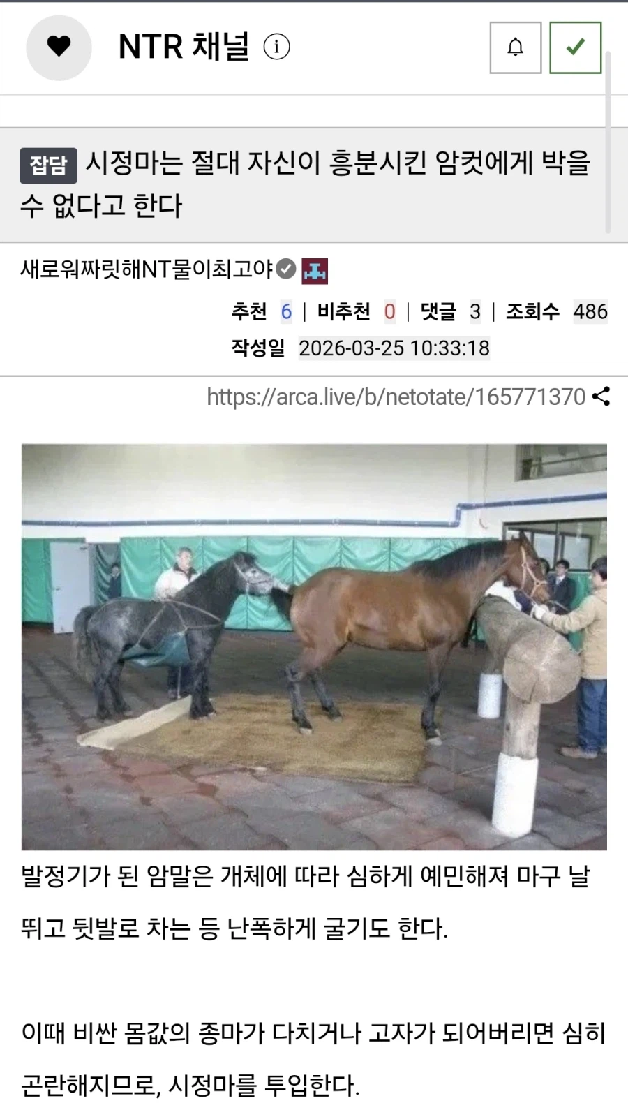 시정마는 절대 자신이 흥분시킨 암컷에게 박을 수 없다고 한다_1.webp