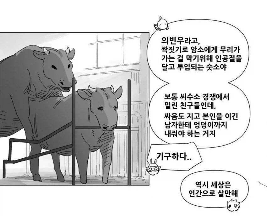 모쏠들은 사람이라 다행인줄 알아야됨_1.webp