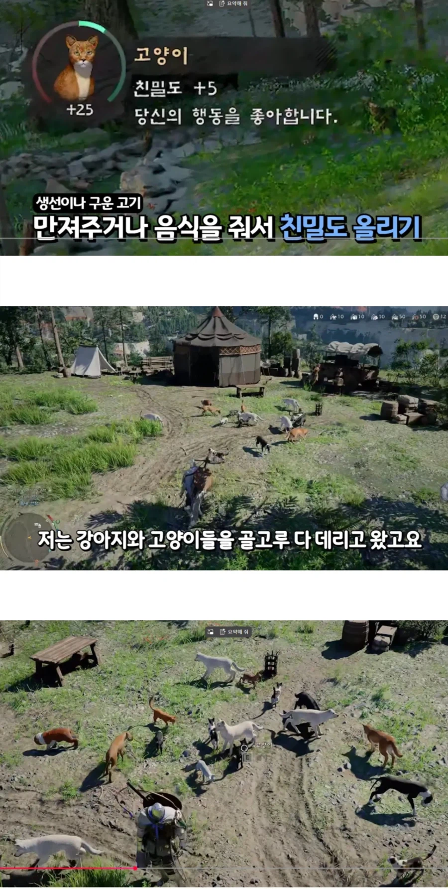 동물과 친밀도 올리는게 가능한 붉은사막.jpg_1.webp