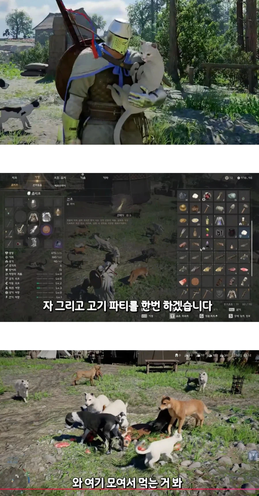 동물과 친밀도 올리는게 가능한 붉은사막.jpg_2.webp