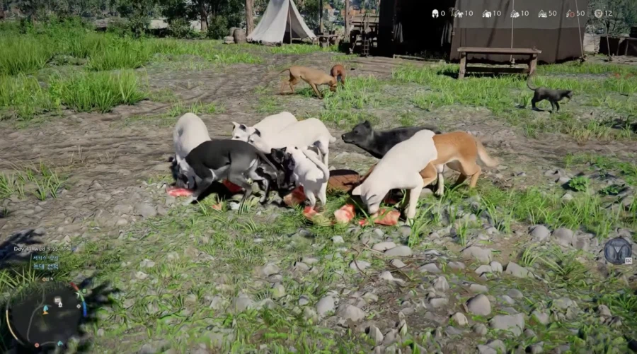 동물과 친밀도 올리는게 가능한 붉은사막.jpg_3.webp