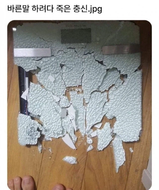 바른말 하려다 죽은 충신.jpg_1.webp