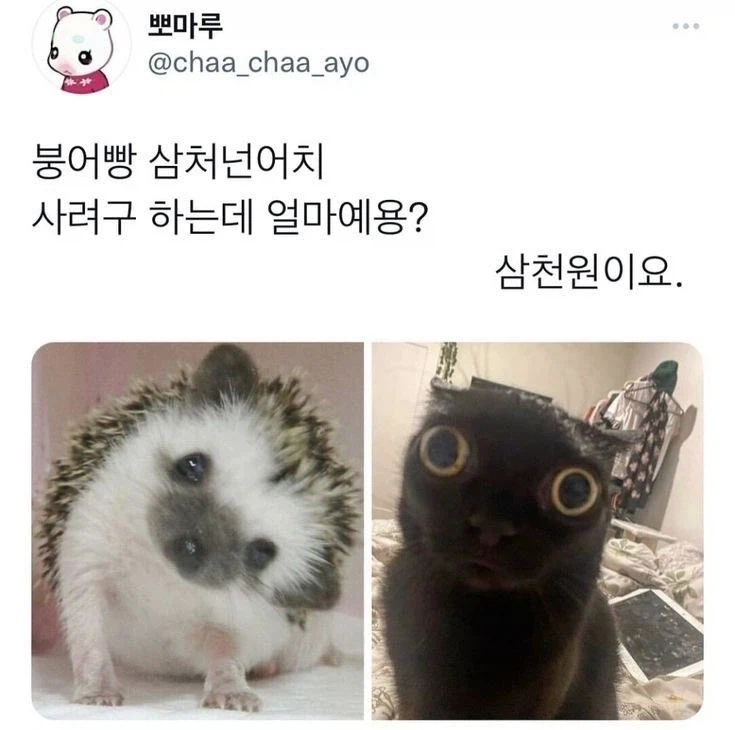 붕어빵 삼천원 어치 얼마죠?_1.webp