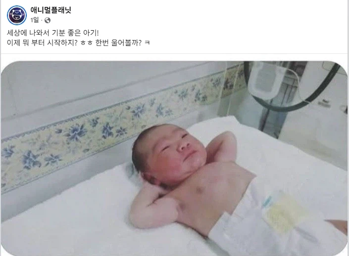 인생 2회차 아기.jpg_1.webp