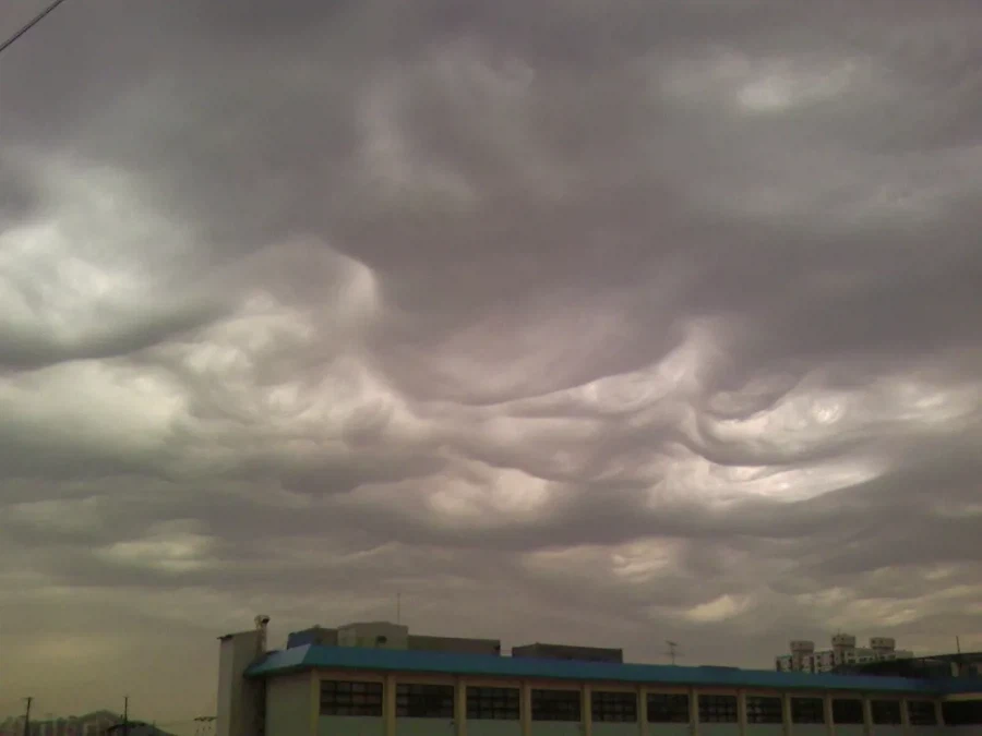 2017년에 국제 구름도감에 추가된