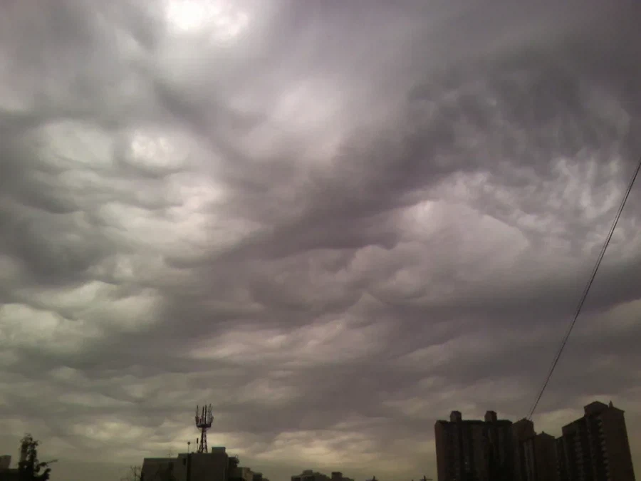 2017년에 국제 구름도감에 추가된