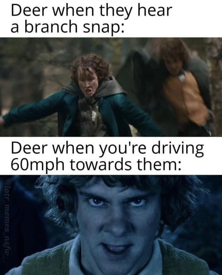 고라니가 빡치는 이유_1.webp