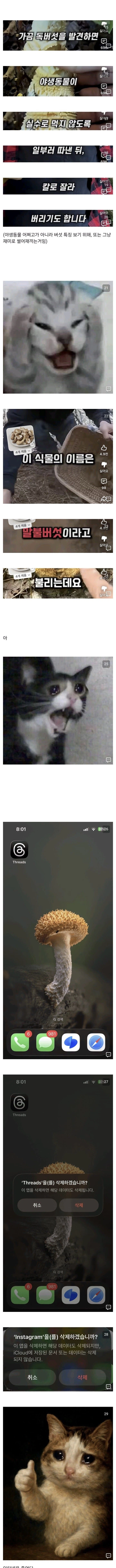 인터넷은 죽었다_2.webp