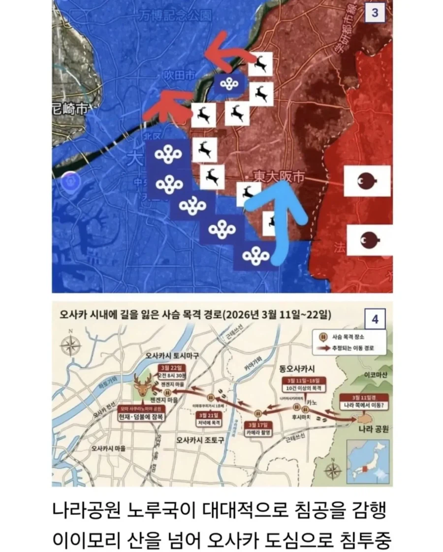 오사카 합전이 쉽지않은 이유_3.webp