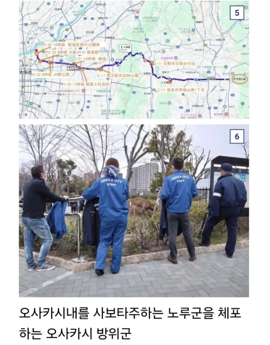 오사카 합전이 쉽지않은 이유_4.webp