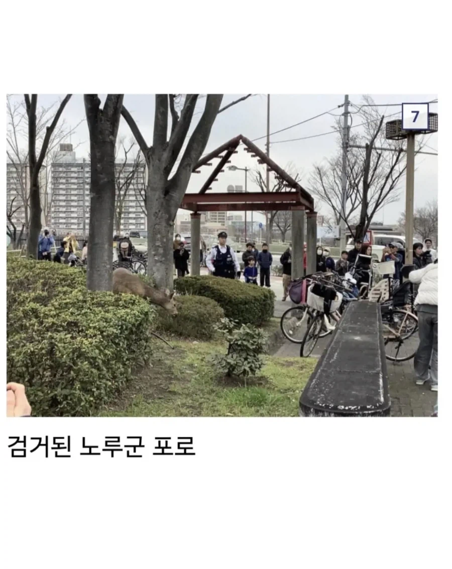 오사카 합전이 쉽지않은 이유_5.webp