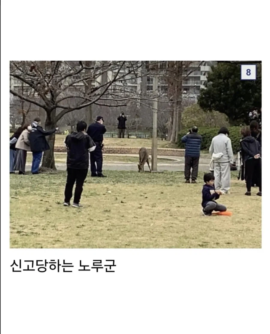 오사카 합전이 쉽지않은 이유_6.webp