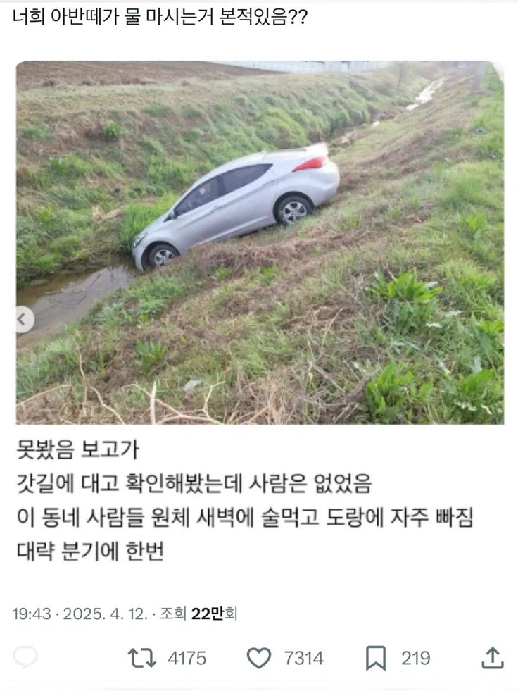 아반떼가 물 마시는거 본 적 있음?_1.webp