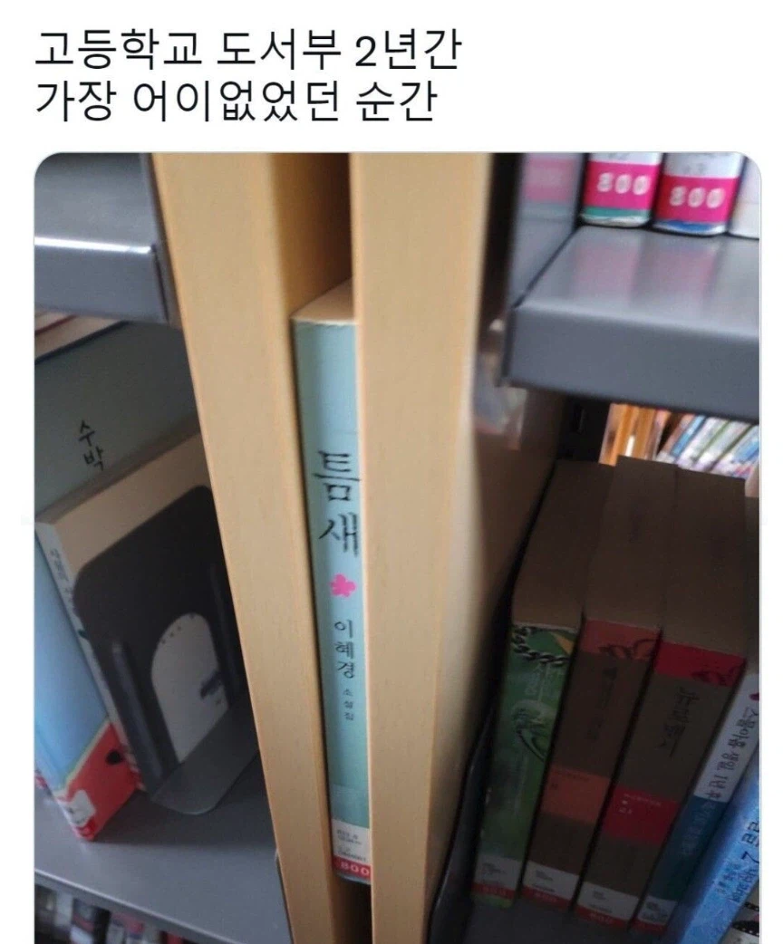 도서부 가장 어이없던 순간_1.webp