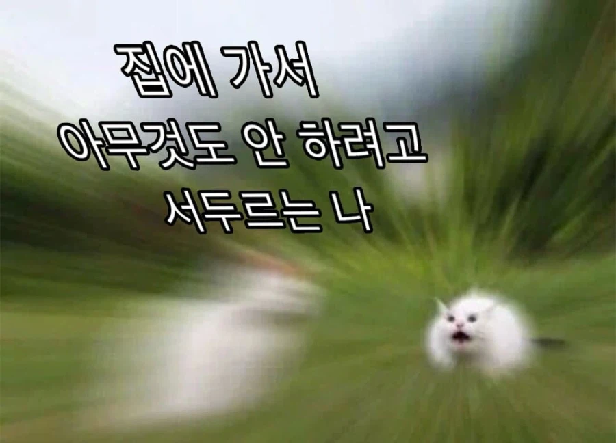 빨리 집에 가야 하는 이유_1.webp