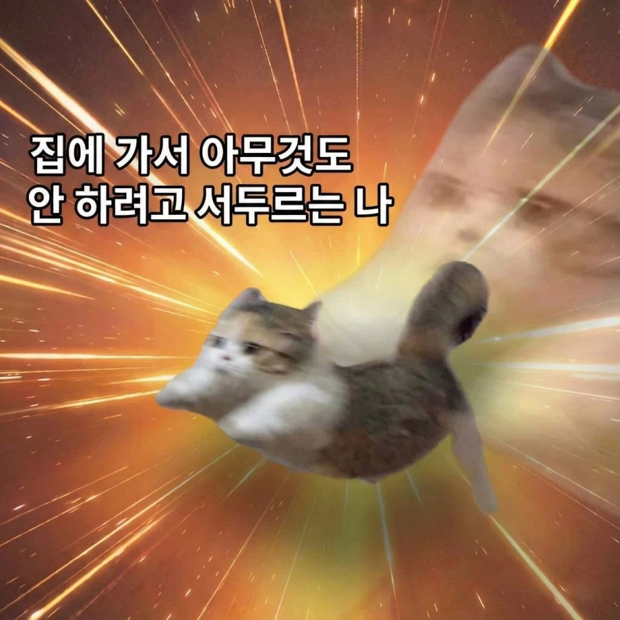 빨리 집에 가야 하는 이유_2.webp