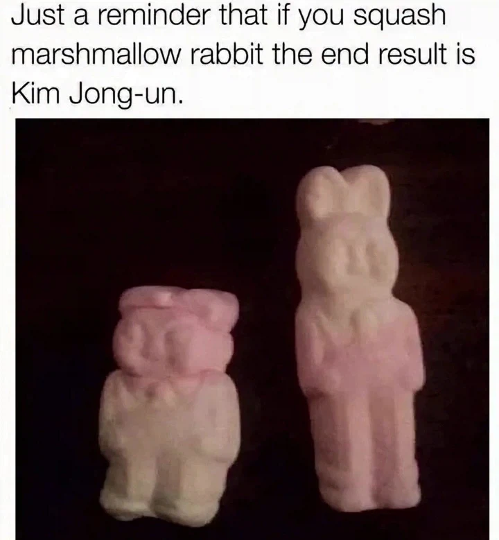 김정은 만드는 법.jpg_1.webp