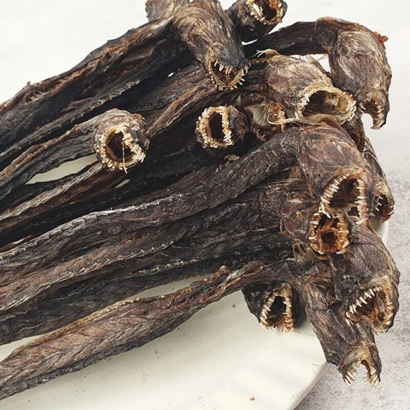 생긴게 햇볕에 말린 에일리언 같이 생김_1.webp