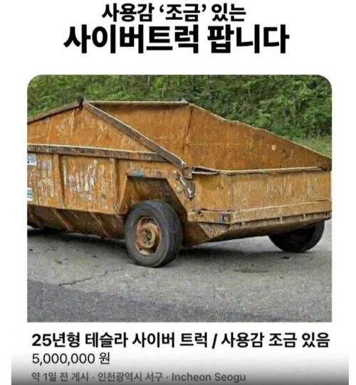 사용감 있는 500만원 짜리 사이버 트럭_1.webp