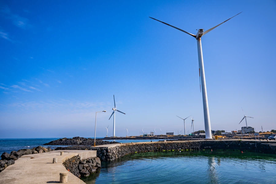 40대 아저씨의 첫 제주도 여행 사진들 (닭집차남)_5.webp