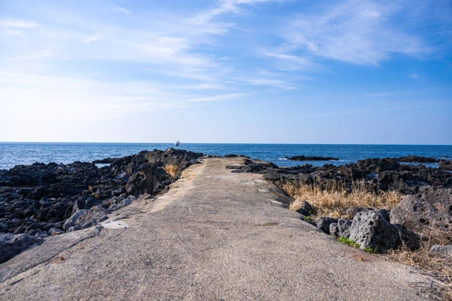 40대 아저씨의 첫 제주도 여행 사진들 (닭집차남)_6.webp