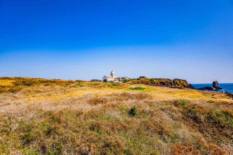 40대 아저씨의 첫 제주도 여행 사진들 (닭집차남)_8.webp