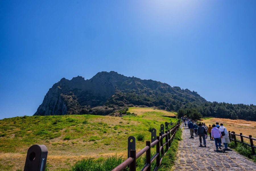 40대 아저씨의 첫 제주도 여행 사진들 (닭집차남)_10.webp