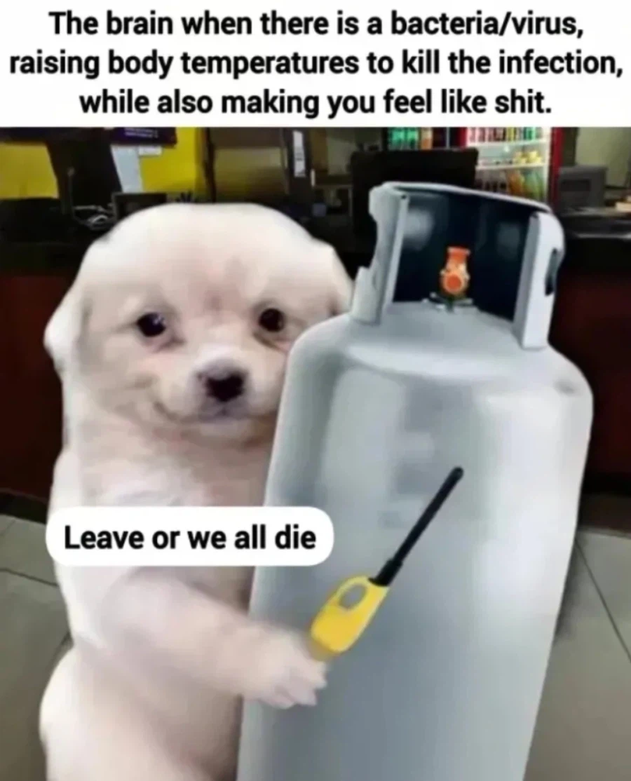 감기 걸렸을때 열 나는 이유.jpg_1.webp