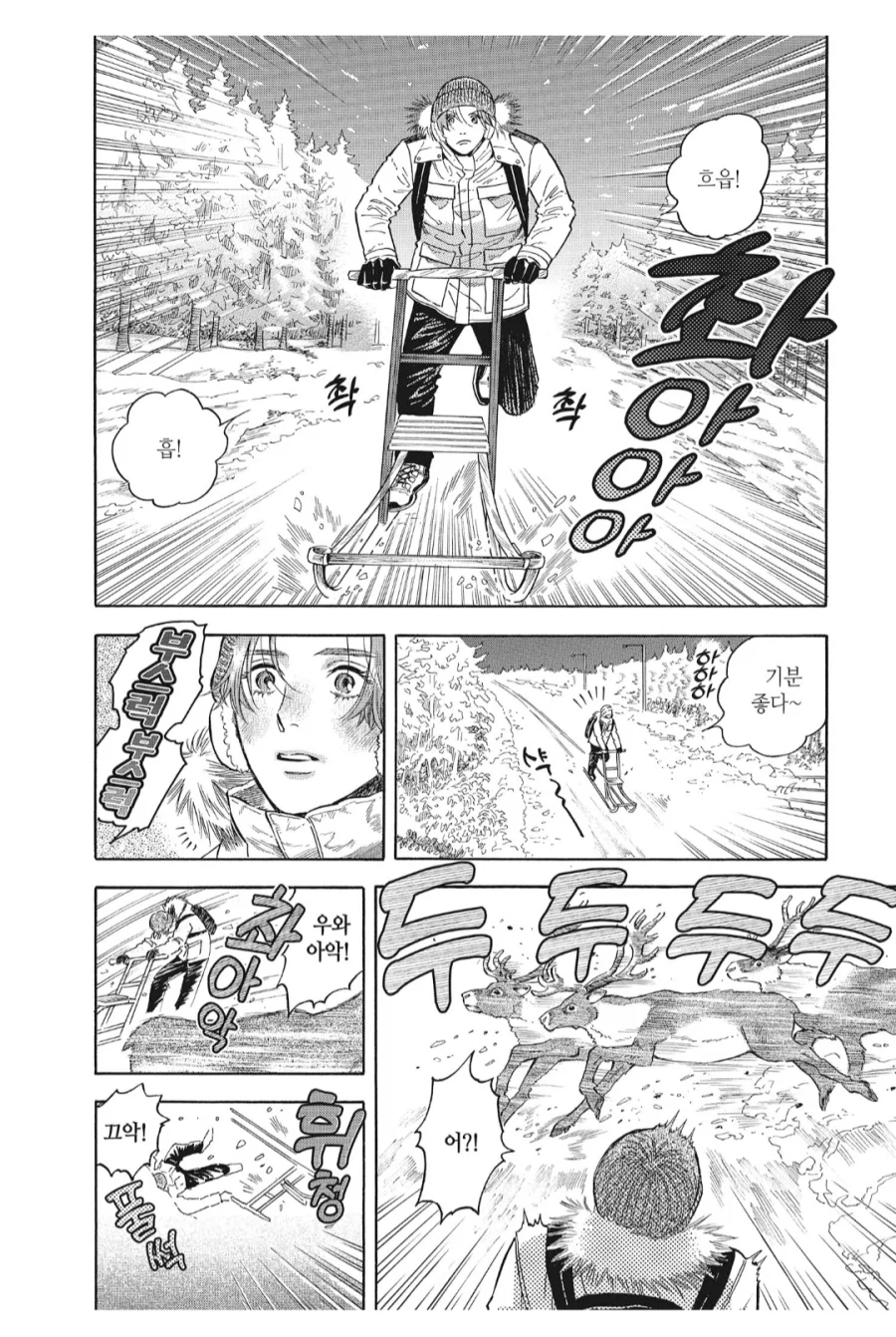 핀란드에서 자주 일어난다는 교통사고_1.webp