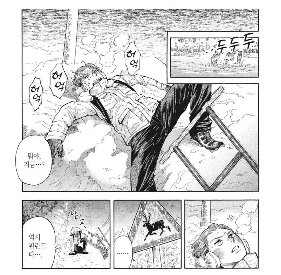 핀란드에서 자주 일어난다는 교통사고_2.webp