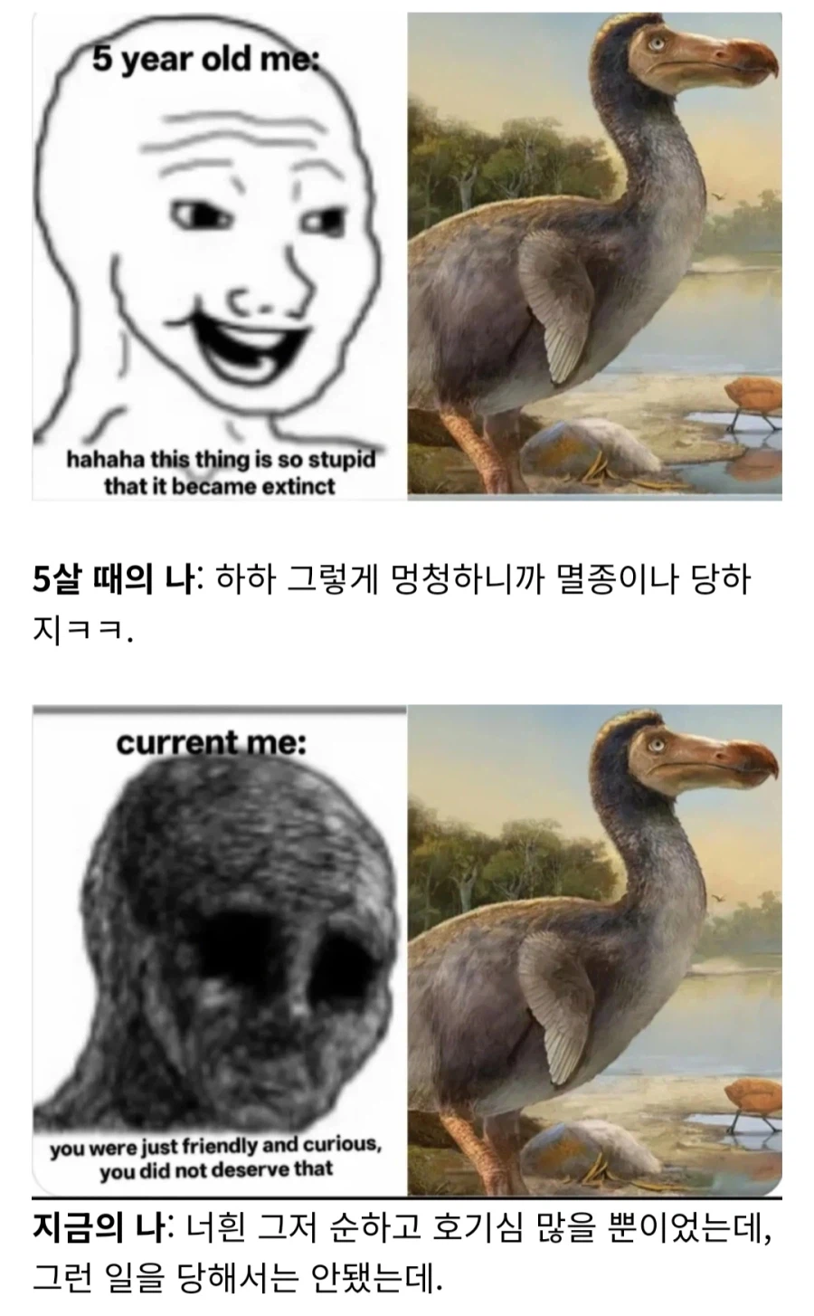 어릴적과 인식이 달라진 동물_1.webp