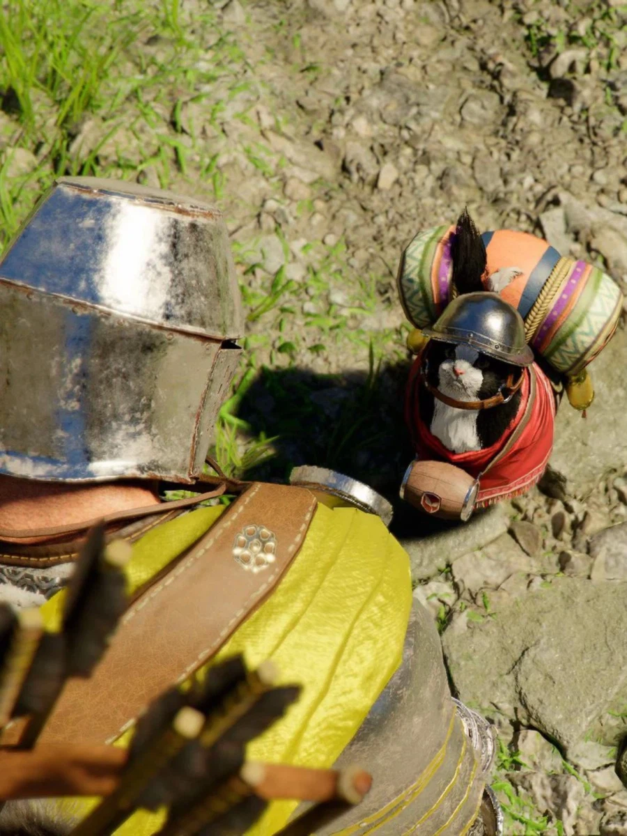 붉은사막) 펫 옷갈아입히기도 있네_1.webp