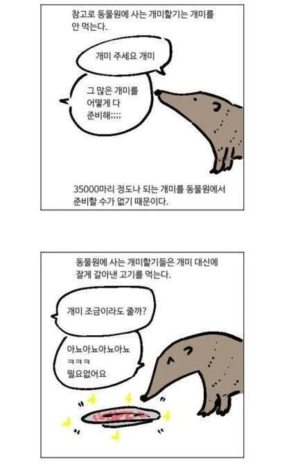동물원 개미핣기는 개미를 얼마나 먹을까_1.webp