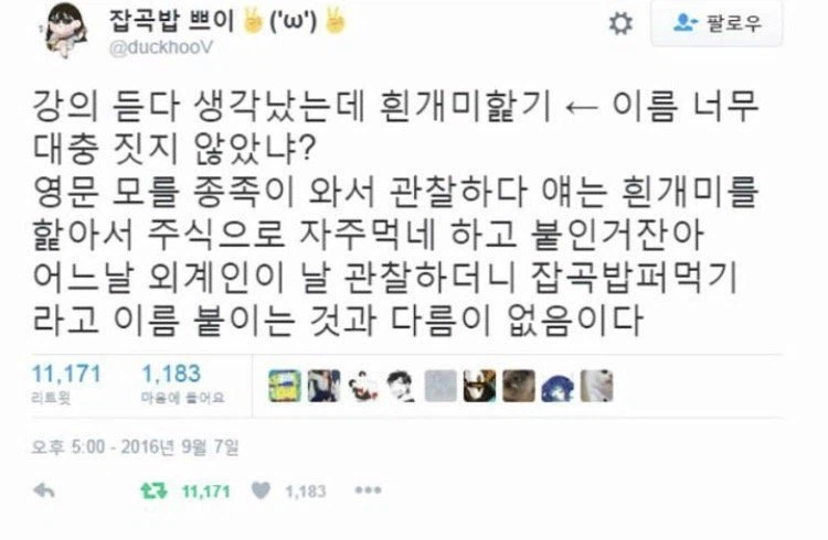 가끔 몇몇동물은 이름을 대충 짓는거 같지 않냐?_1.webp