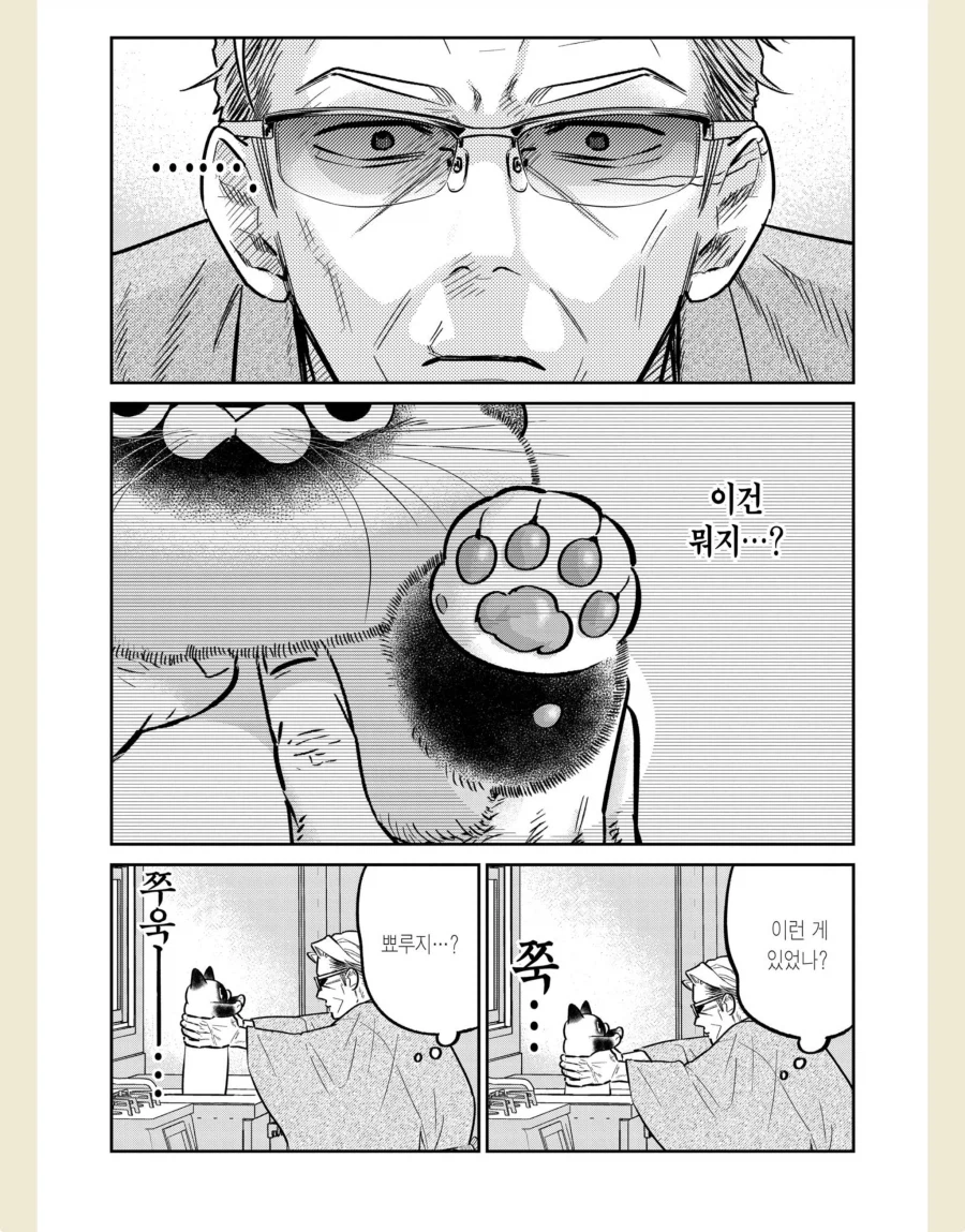 고양이 처음 본 사람들이 신기해하는 부위_2.webp